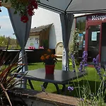 Mobil Home, Terrasse - 8 Pers. - Api-1-52-2166